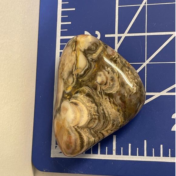 Beautiful Large Prairie Agates - Picture 4 of 11